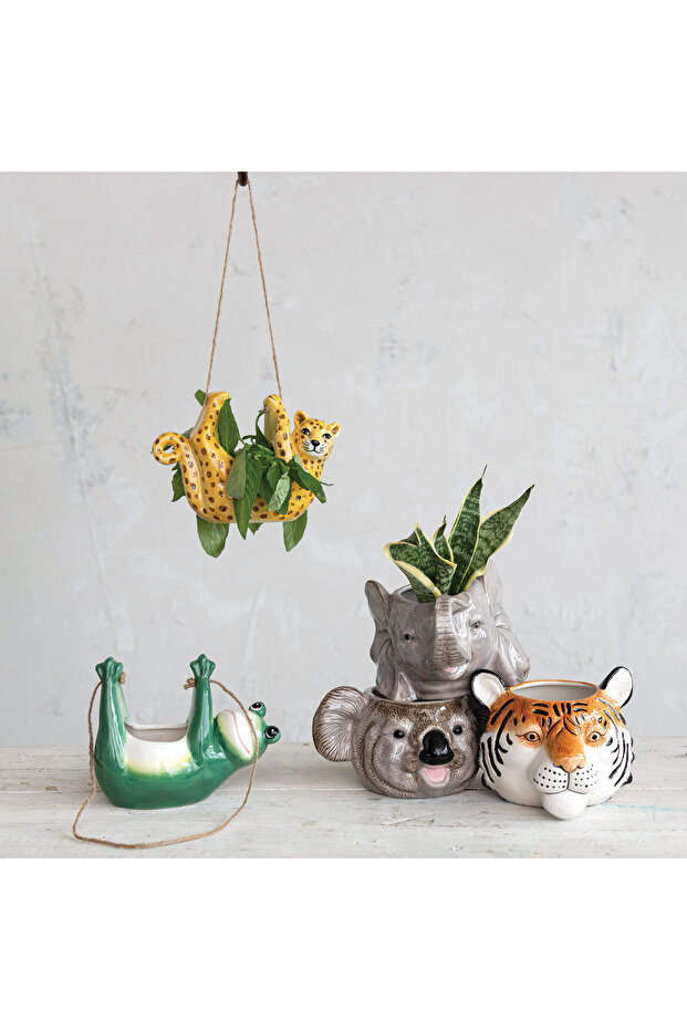 Koala Saksılık - 3