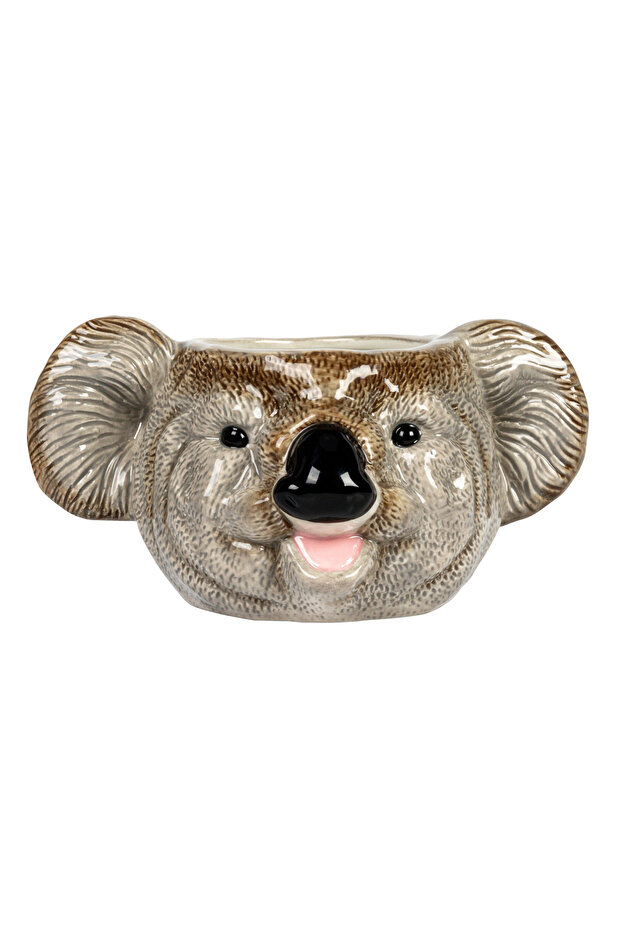 Koala Saksılık - 1