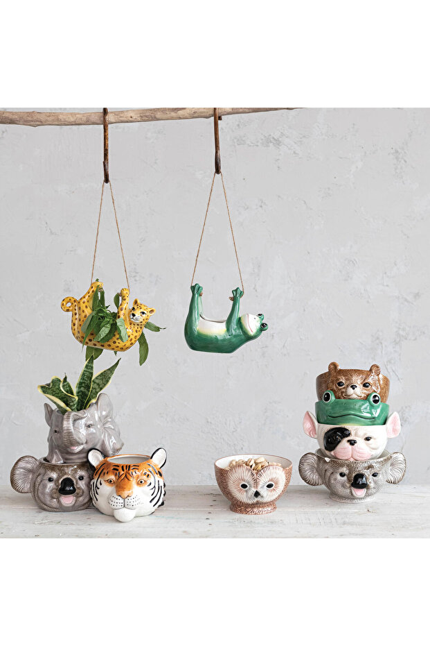 Koala Saksılık - 4