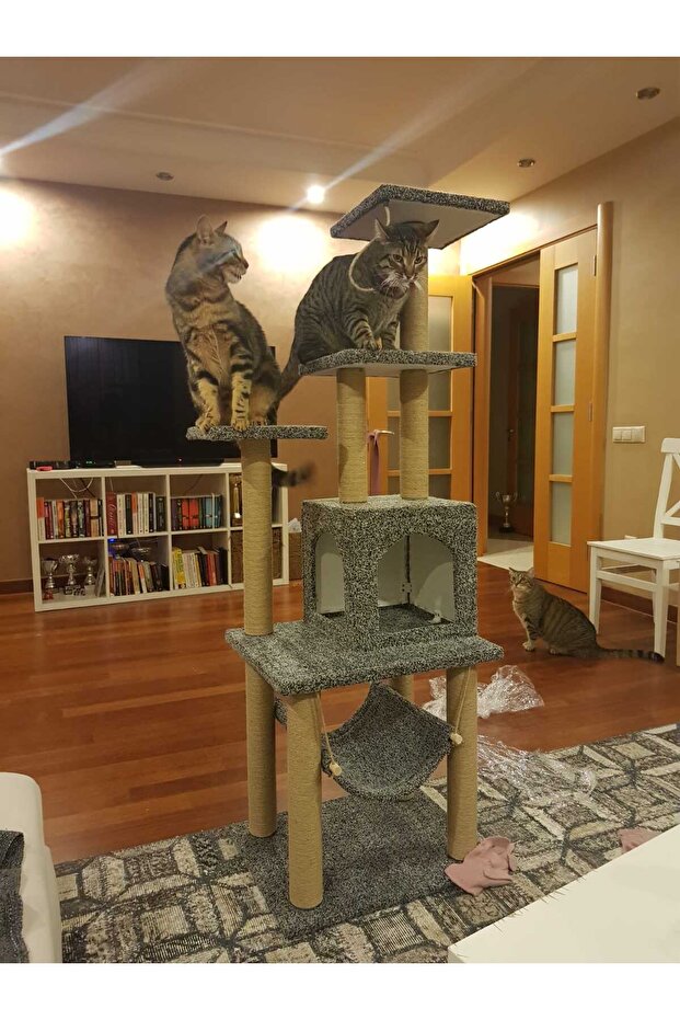 Cat Scratching House and Play Platform