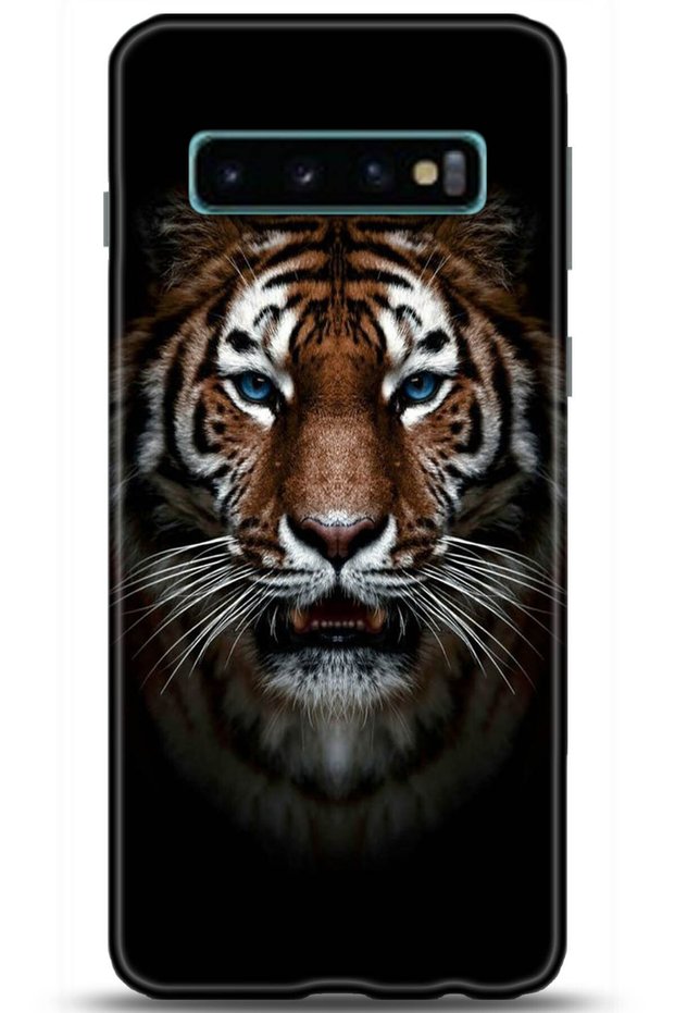 Samsung Galaxy S10 Plus Case Hd Printed Case - Followed Institution 0141