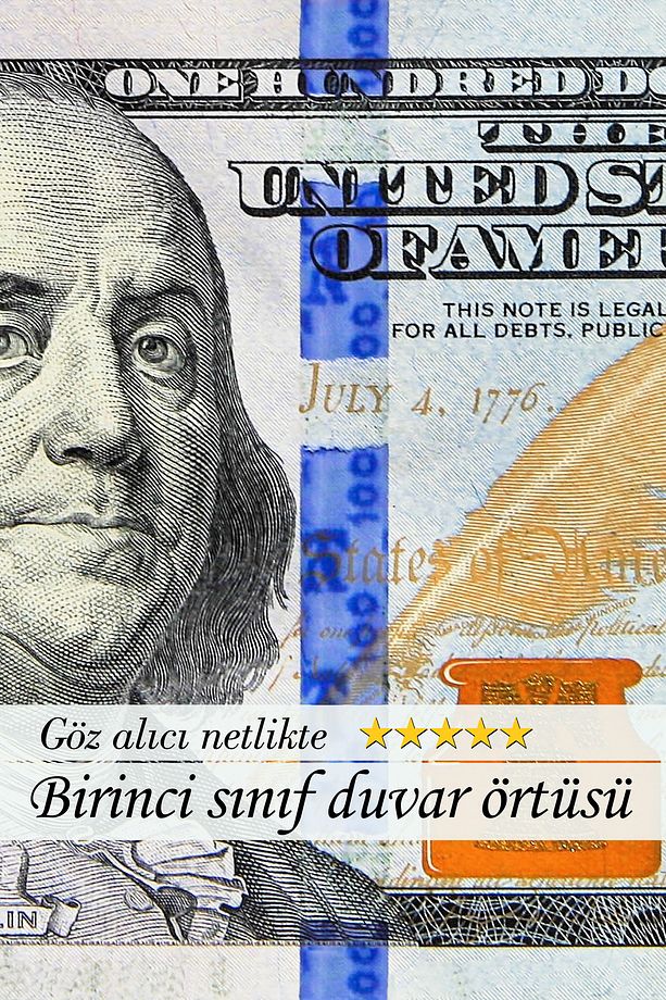 100 Dolar Duvar Örtüsü Başarı, Çalışma ve Hayallerin Somut Bir İfadesi Duvar Halısı Tapestry - 4