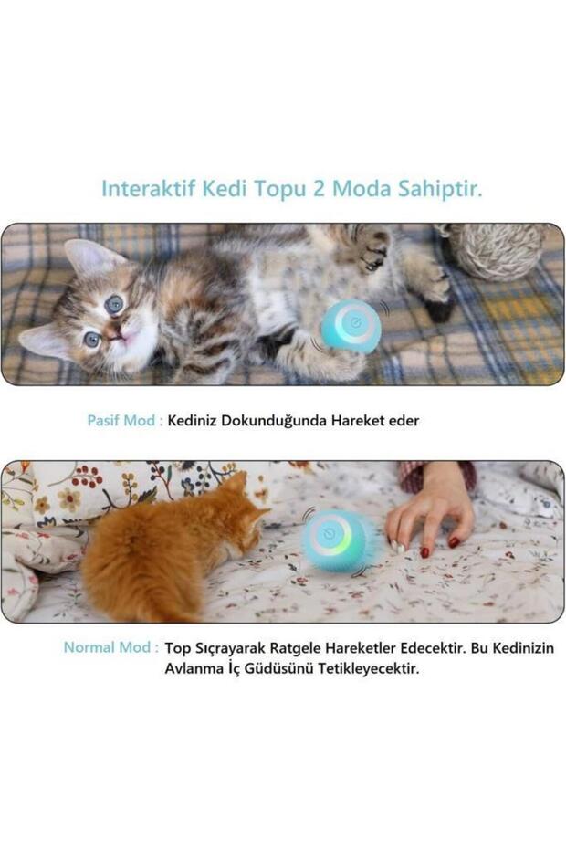 Smart Interactive Pet Toy Automatic Rolling Cat Play Ball- Interactive Cat Play Ball - 3