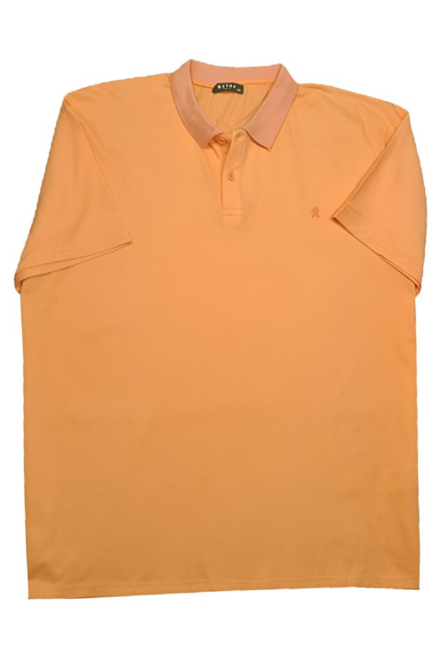 Large Size Polo Neck Lacoste T-shirt