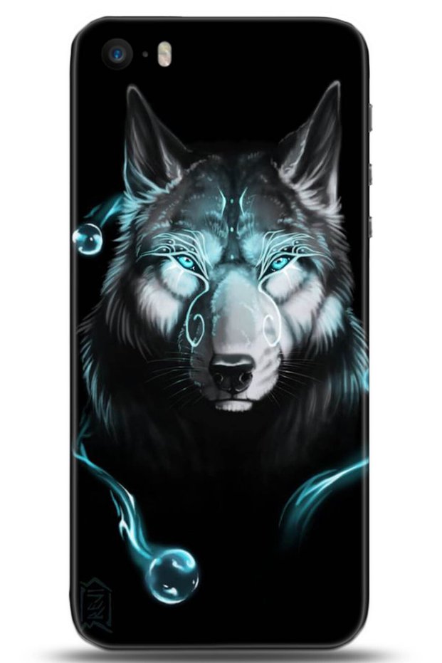 Apple iPhone 5 / 5S Case Hd Printed Case - Followed Institution 0159