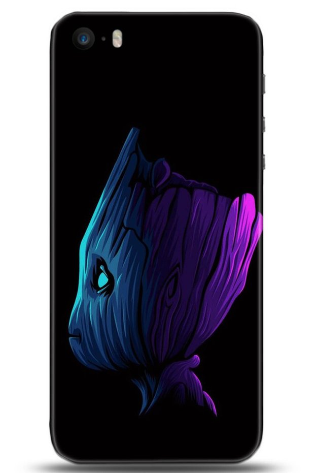 Apple iPhone 5 / 5S Case Hd Printed Case - Followed Institution 0107