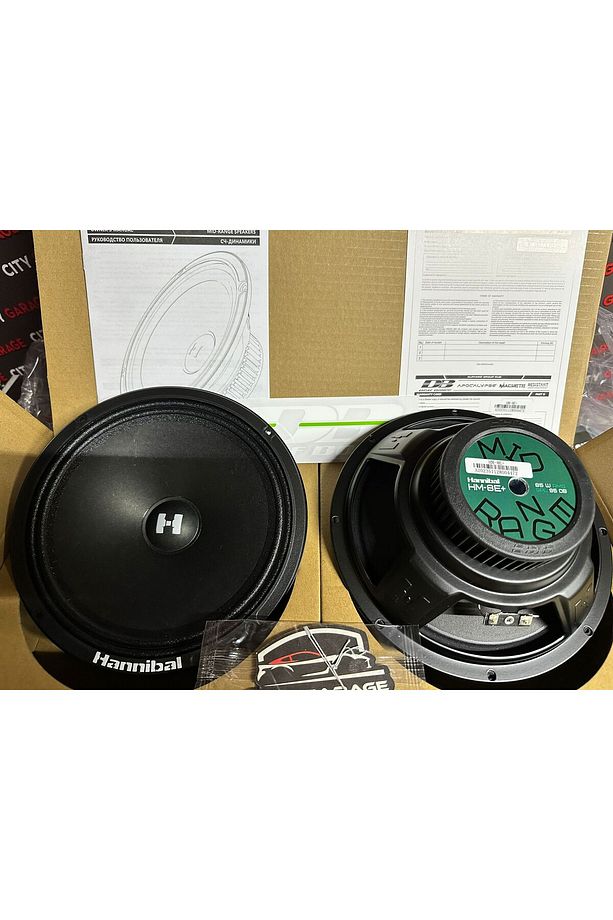 DEAF BONCE APOCALYPSE HANNİBAL HM-8E+ 160 WATT 80 RMS 20 CM SPL MİDRANGE TAKIMI - 6