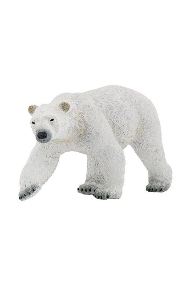 Ursul polar - 1