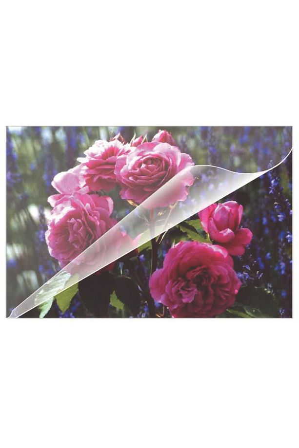 Ehliyet Boy 80 Micron Pvc Filmi ( 100 Adet ) - 1