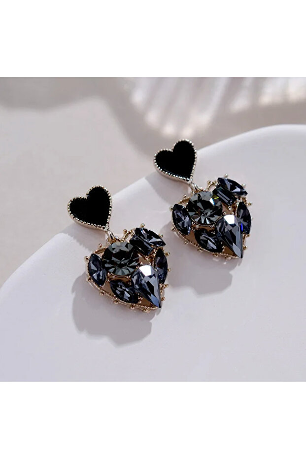 Amour - Black Zircon Stone Stylish Design Earrings