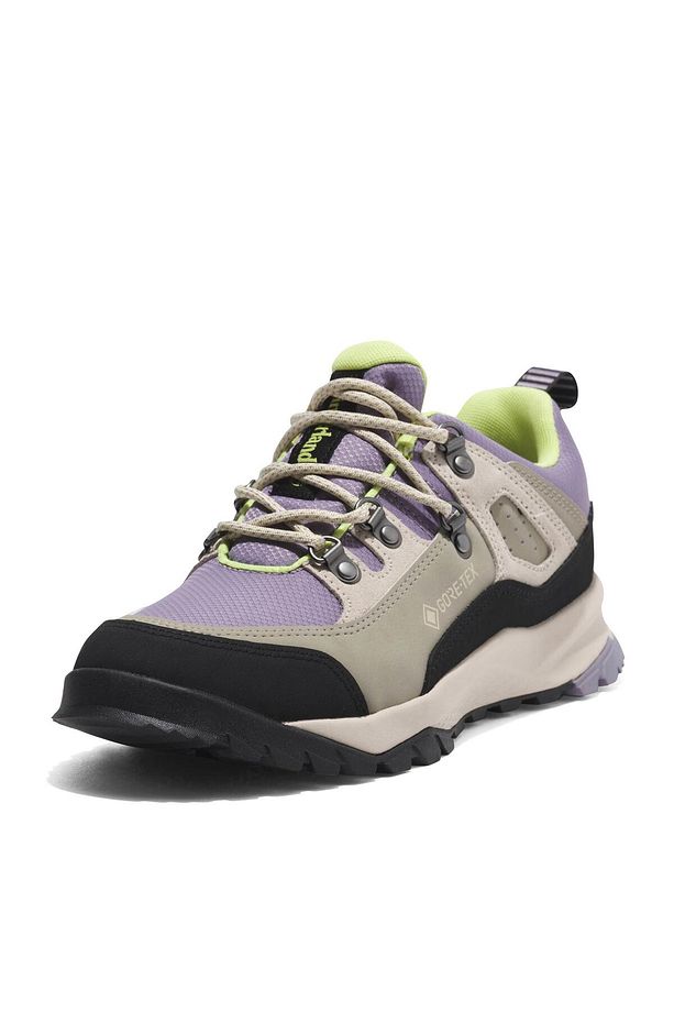 LOW LACE UP GTX HIKING BOOT TB0A5ZT8EQ01 - 4