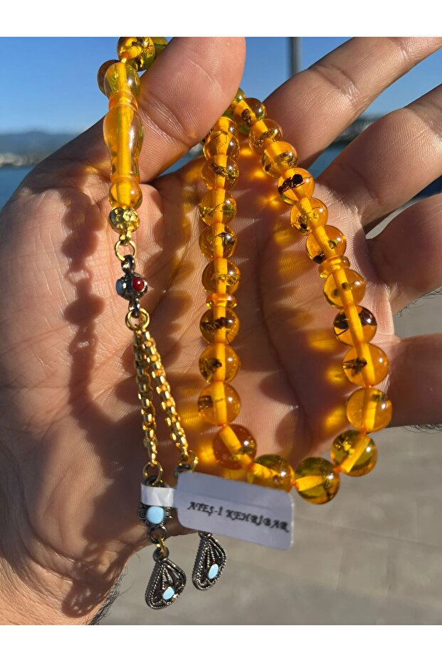 Ateş Kehribar Karıncalı - 1