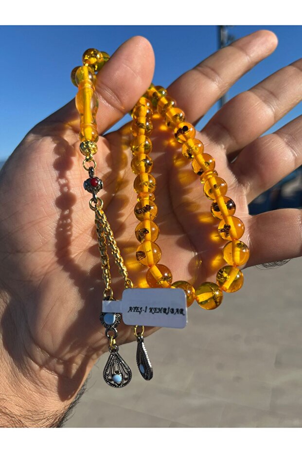 Ateş Kehribar Karıncalı - 3