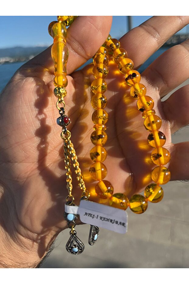 Ateş Kehribar Karıncalı - 2