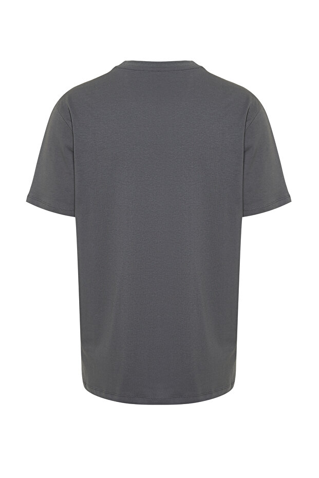 Antrasit Regular/Normal Kesim Renk Bloklu %100 Pamuklu T-Shirt TMNSS24TS00076 - 8
