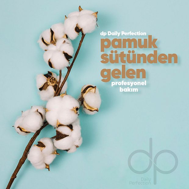 1 Adet Pamuk Sütü Buğday Proteini 500 ml 1 Adet Çam Terebentin Saç Kremi 500 ml - 4