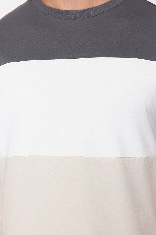 Antrasit Regular/Normal Kesim Renk Bloklu %100 Pamuklu T-Shirt TMNSS24TS00076 - 6