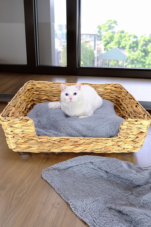 Hasır Dikdörtgen Kedi ve Köpek Yatağı İç Minderli 60,5 Cm Kahverengi - CL-4038 C1-1-121 - 2