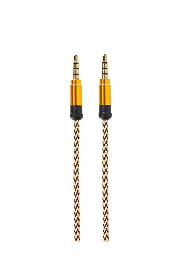 Silver Aux Cable