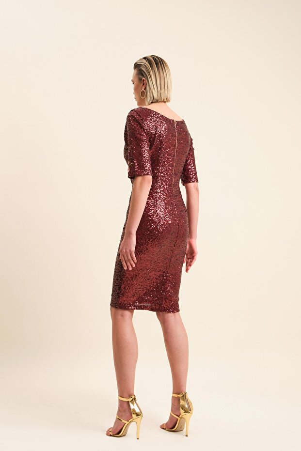 Pul Payetli Elbise - 4