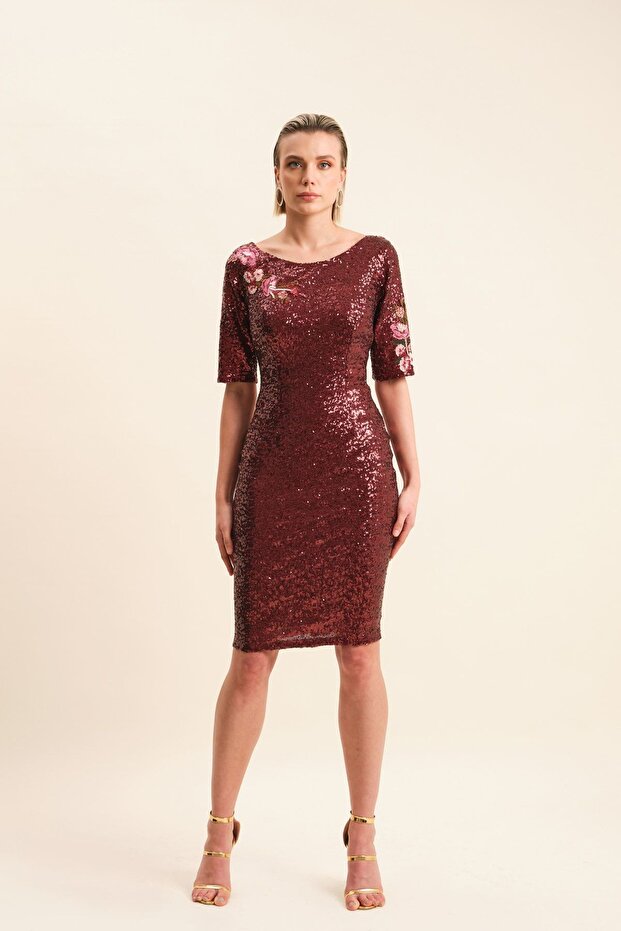 Pul Payetli Elbise - 1