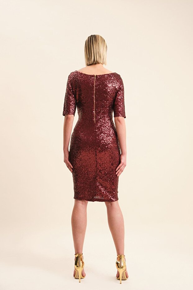 Pul Payetli Elbise - 5