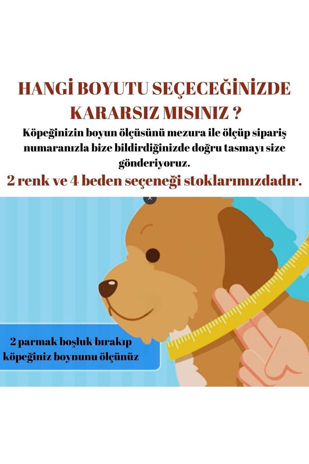 Kopek Boyun Tasması , Gezdirme Eğitim Halatı Kayışı Ipi / (AÇIKLAMAYI OKUYUNUZ) - 4