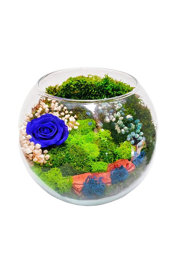 Vertical Garden Serisi Mavi Solmayan Gül & Cam Akvaryum Gül Bahçesi Hediye Tasarım Çiçek - 1