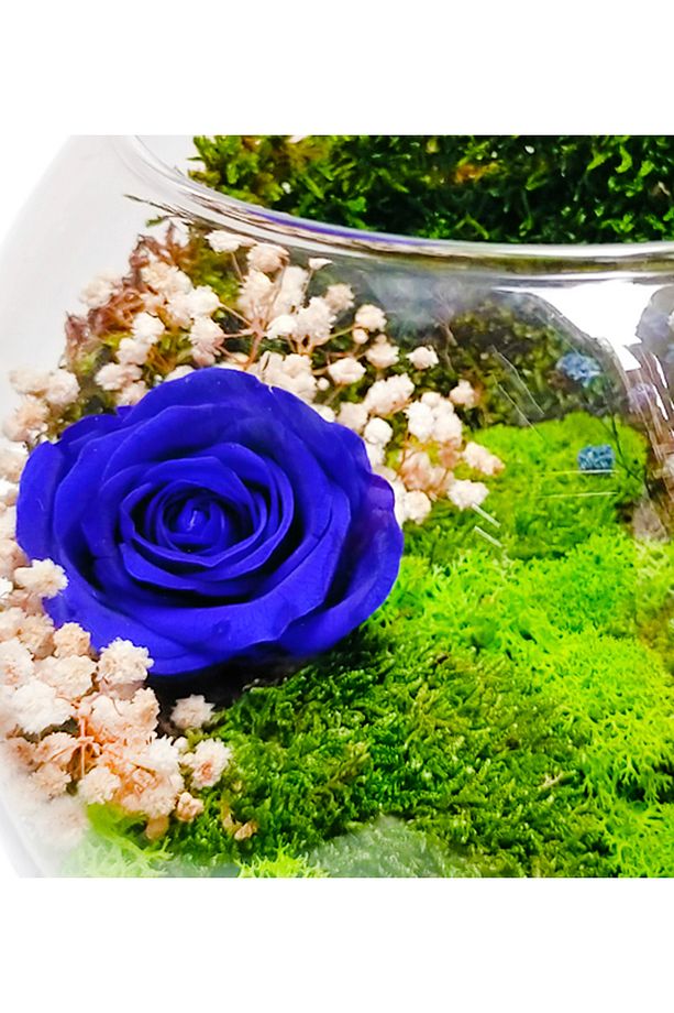 Vertical Garden Serisi Mavi Solmayan Gül & Cam Akvaryum Gül Bahçesi Hediye Tasarım Çiçek - 3