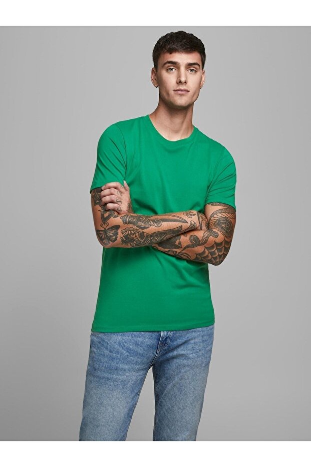 Jjeorganıc Plain T-Shirt 12156101