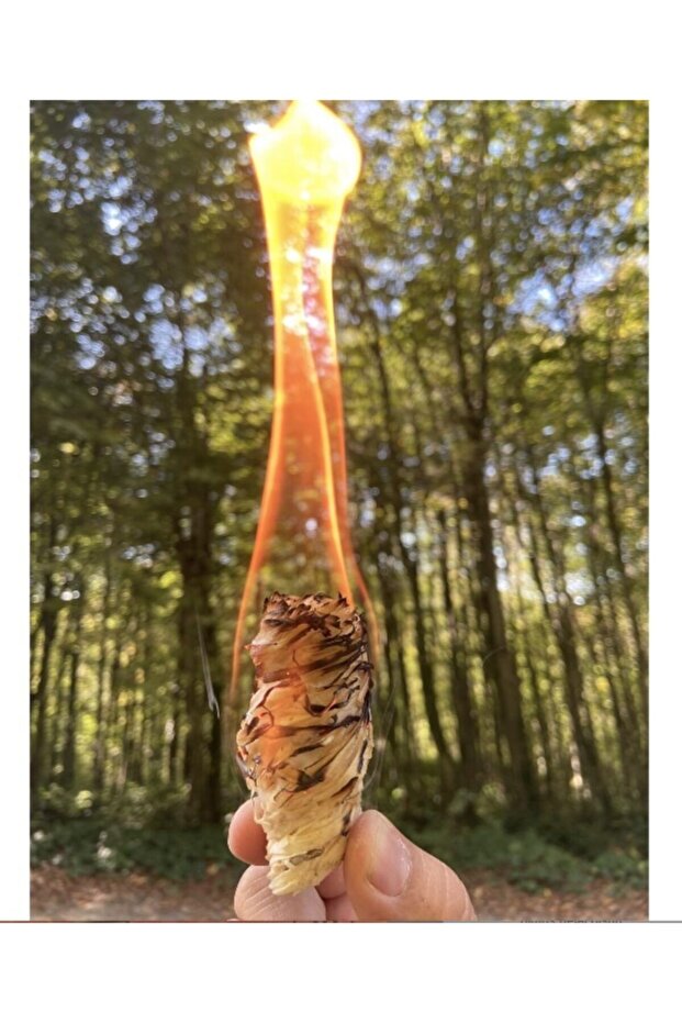 Odun Yünü Tutuşturucu – 10 Adet 140 Gr - 4