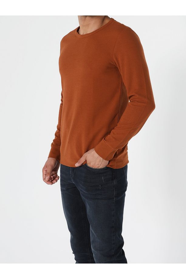 Regular Fit Kahverengi Erkek Tişört Cl1057212 - 4