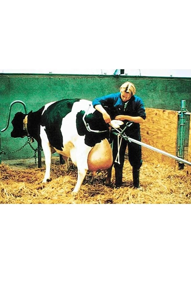 Buzağı Doğum Krikosu Çelik Model - 5