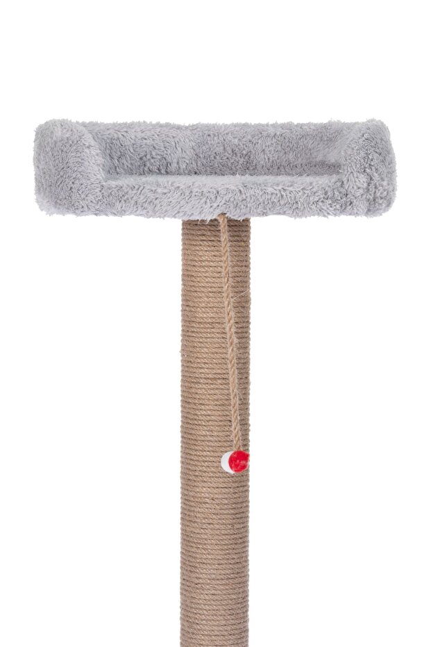 Hoppala Cat Scratch Gray Sponge Edge - 6