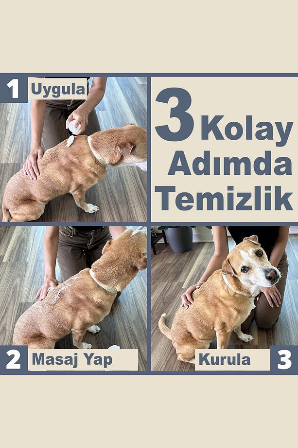 Köpek Kuru Şampuan, Bit Pire Dış Parazit Kene Uyuz Damla Önleyici Tasması Tarağı ile Kullanılabilir - 4