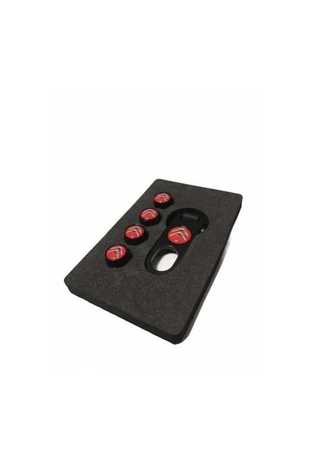 Citrone Valve and Keychain Set