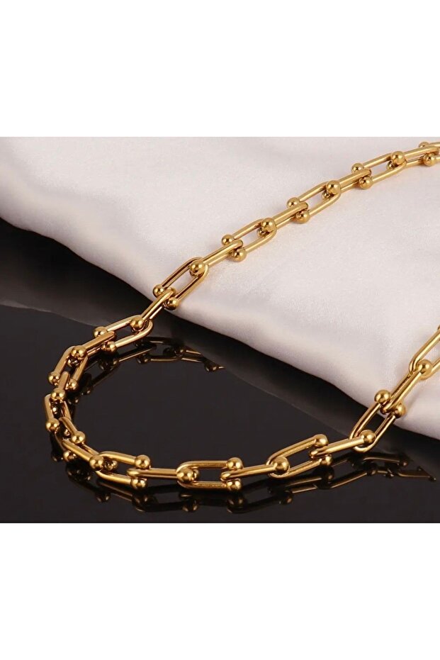 Stainless Steel Tifani Model Chain Choker Women's Necklace