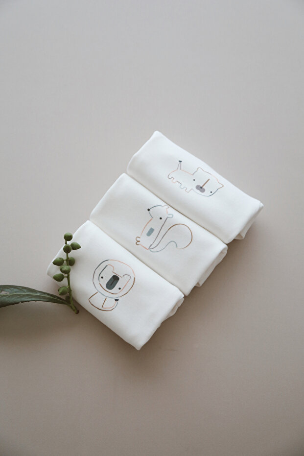 3'lü Baskılı Çıtçıtlı Body - 4