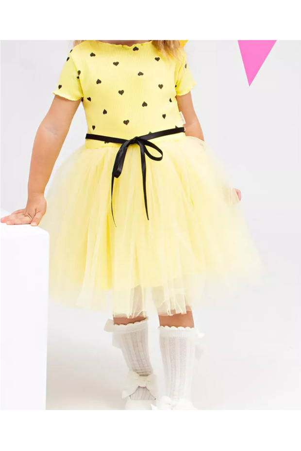 Fluffy Tulle Flexible Lycra Heart Printed Princess Tutu Dress