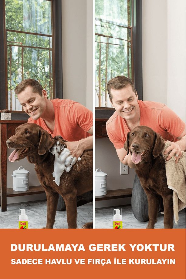 Köpek Kuru Şampuan, Bit Pire Dış Parazit Kene Uyuz Damla Önleyici Tasması Tarağı ile Kullanılabilir - 5