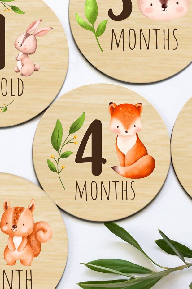 Monthly Wooden Baby Memory Card Set Baby Monthly Photo Cards Baby Gift Souvenir Card