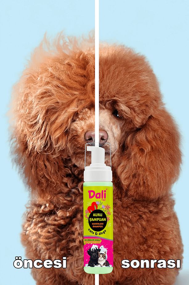 Köpek Kuru Şampuan, Bit Pire Dış Parazit Kene Uyuz Damla Önleyici Tasması Tarağı ile Kullanılabilir - 3