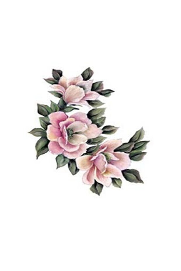 G160 17x25 غولسون أولكو G160 17x25