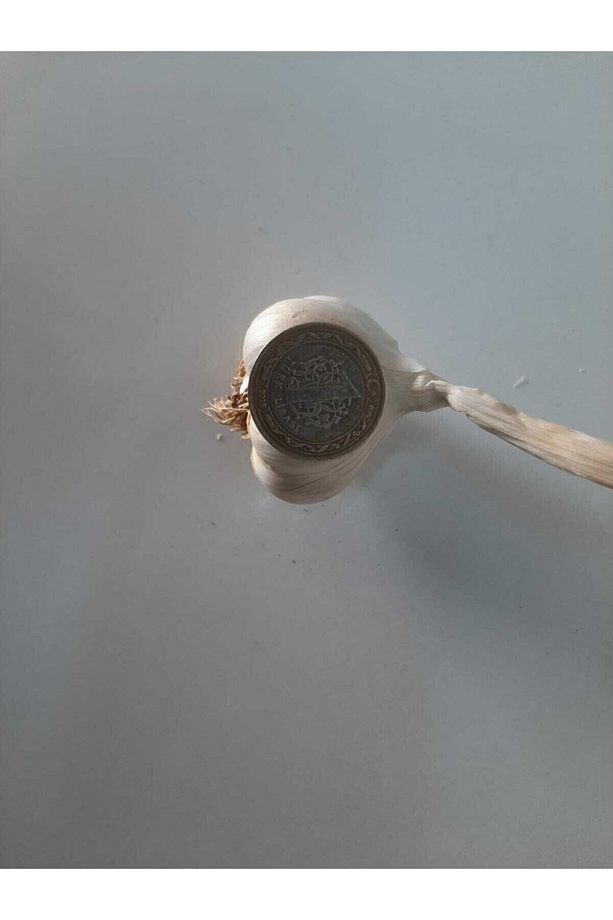 Kastamonu Taşköprü Sarımsağı 1kg - 3