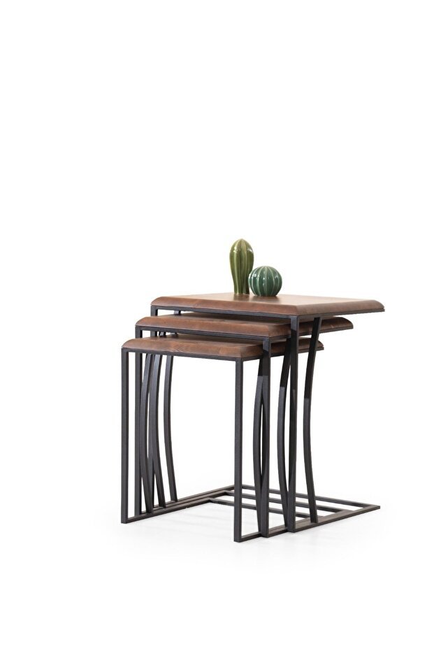 Gaia Zigon Sehpa - 1