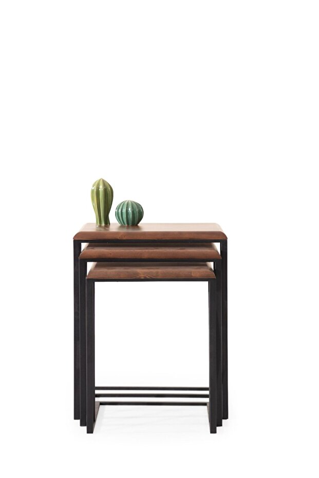 Gaia Zigon Sehpa - 2