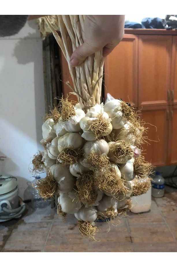 Kastamonu Taşköprü Sarımsağı 1kg - 2