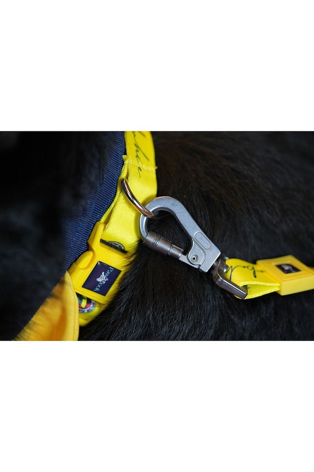 , Fenerbahçe Lisanslı Köpek Gezdirme Tasması, Köpek Gezdirme Kayışı - 5