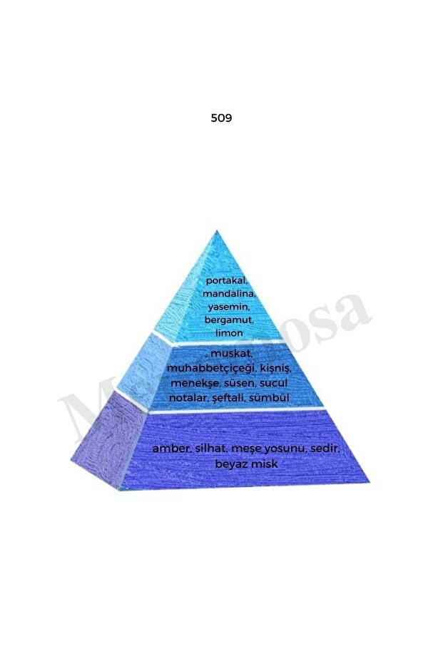 197 509 Kadın / Erkek Parfüm Edp 50 ml Oriental / Fresh - 68189800050edp509197 - 4