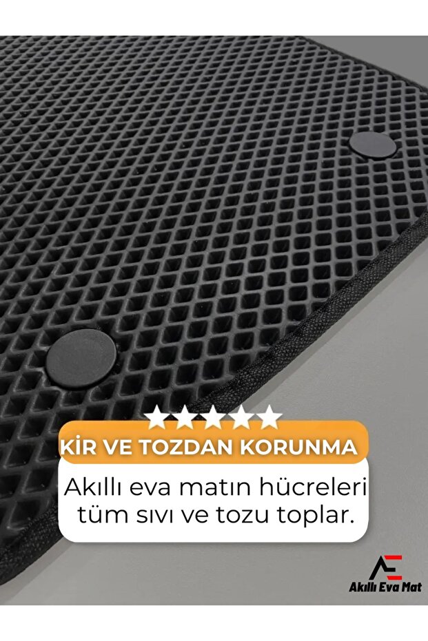 Fiat Linea 2012 Eva Paspas - 4